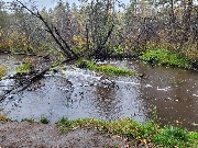 20250925_114647.jpg