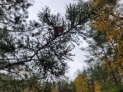 20250925_125709.jpg