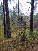 20250925_111547.jpg