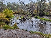 20250925_114642.jpg