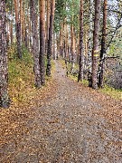 20250925_122445.jpg