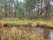 20250925_110458.jpg