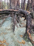 20250925_125847.jpg