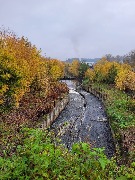 20250925_095243.jpg