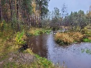 20250925_110539.jpg