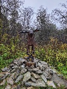 20250925_105221.jpg
