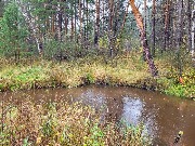 20250925_110450.jpg