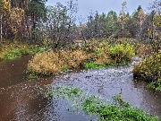 20250925_110530.jpg