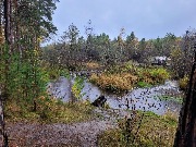 20250925_110602.jpg