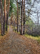 20250925_122438.jpg