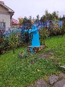 20250925_095422.jpg