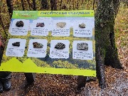 20250925_120218.jpg