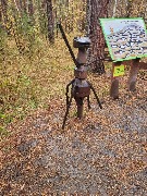 20250925_123737.jpg