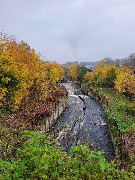 20250925_095245.jpg