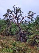 20250925_100049.jpg