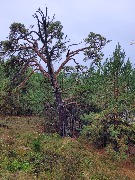 20250925_100046.jpg