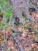 20250925_113813.jpg