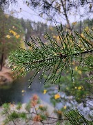 20250925_125637.jpg