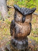 20250925_113745.jpg