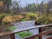 20250925_110526.jpg