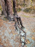20250925_130053.jpg