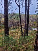 20250925_111557.jpg