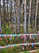 20250925_171105.jpg