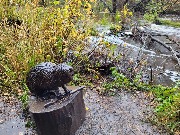 20250925_114715.jpg