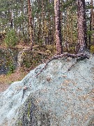 20250925_125359.jpg