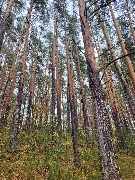 20250925_122456.jpg