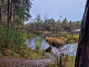 20250925_110557.jpg