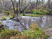 20250925_114759.jpg