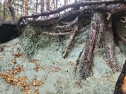 20250925_125911.jpg