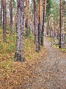 20250925_122513.jpg