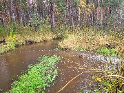 20250925_110438.jpg