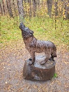 20250925_111426.jpg