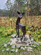 20250925_110414.jpg