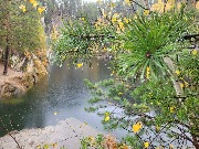 20250925_125655.jpg