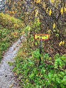 20250925_105106.jpg